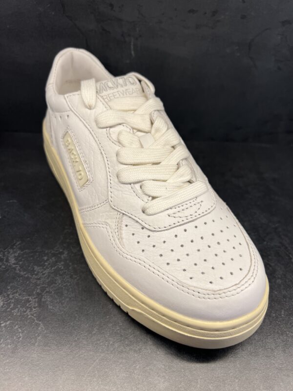 Scarpe Back 70 YSLAM Leather V1 Elephant white